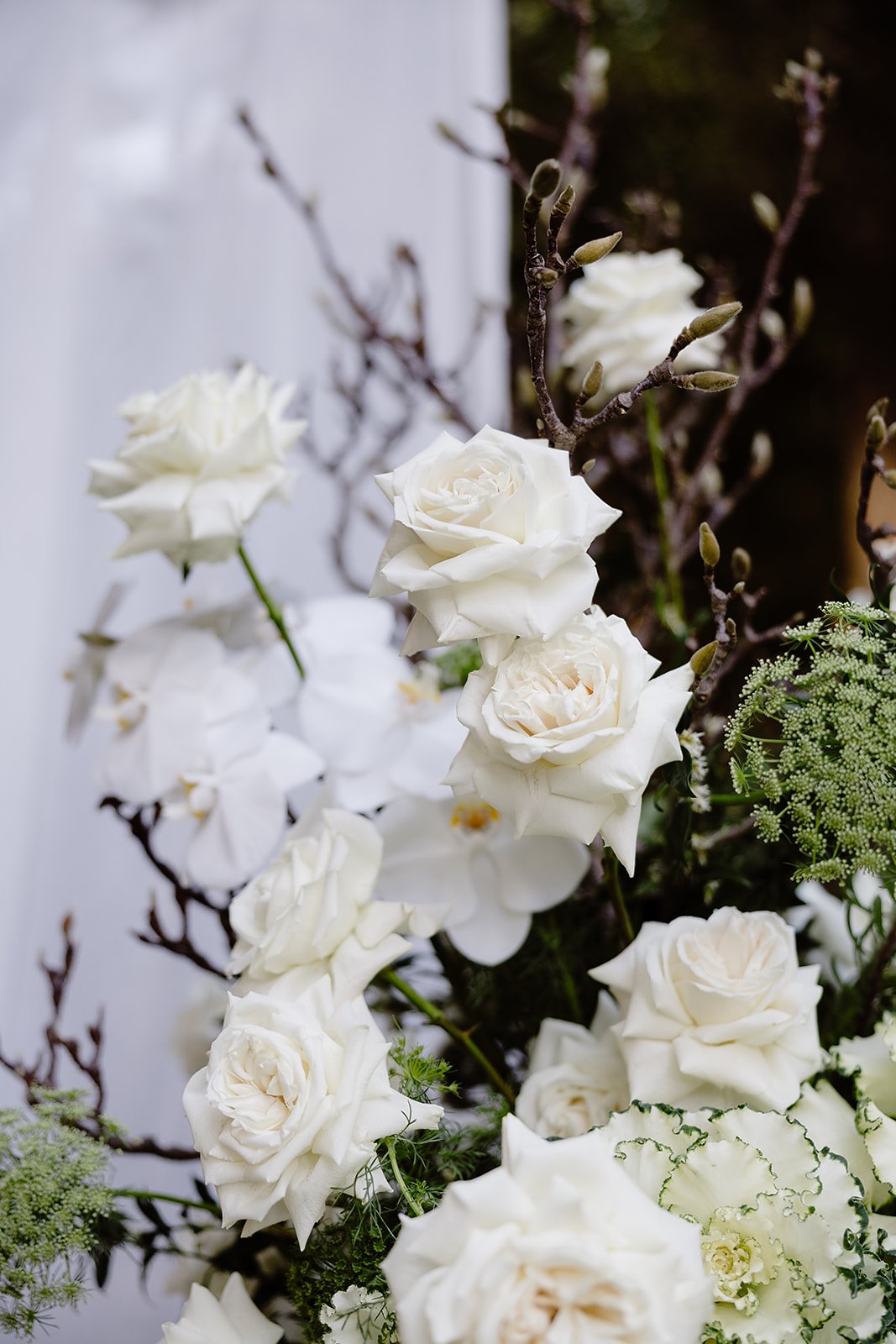 Ashleigh Haase Photography-11.jpg