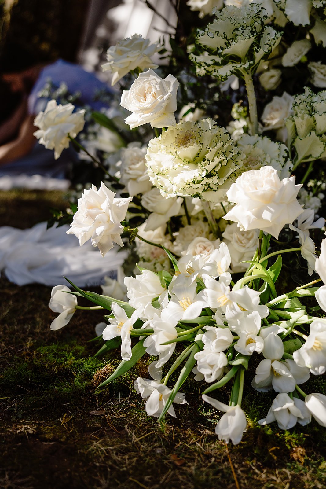 Ashleigh Haase Photography-20.jpg