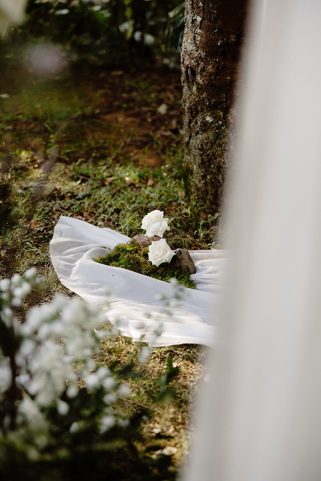 Ashleigh Haase Photography-72.jpg