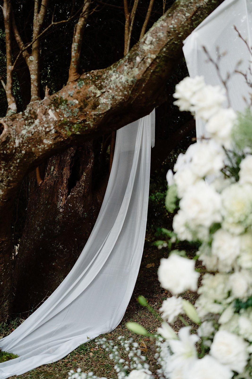 Ashleigh Haase Photography-527.jpg