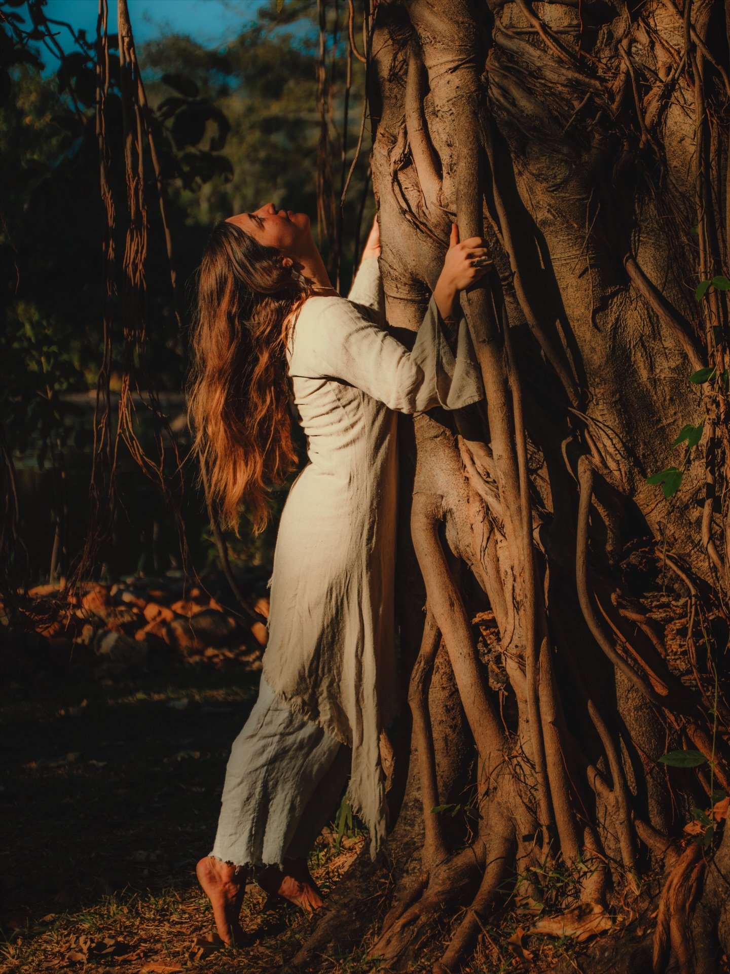 Not sorry if I haven&rsquo;t replied lately 
I&rsquo;m too busy learning how to be a tree 🍂

📸: @m.s.pushpanath 🤎

#travelingphotographer #photoalchemy #sonya7rv