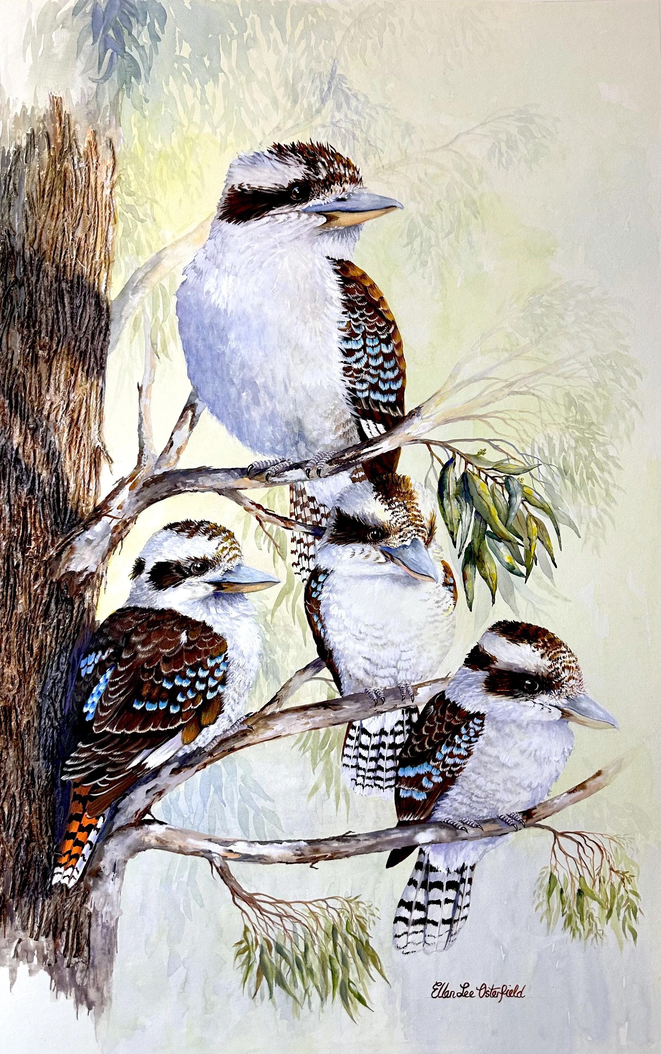Family Circle