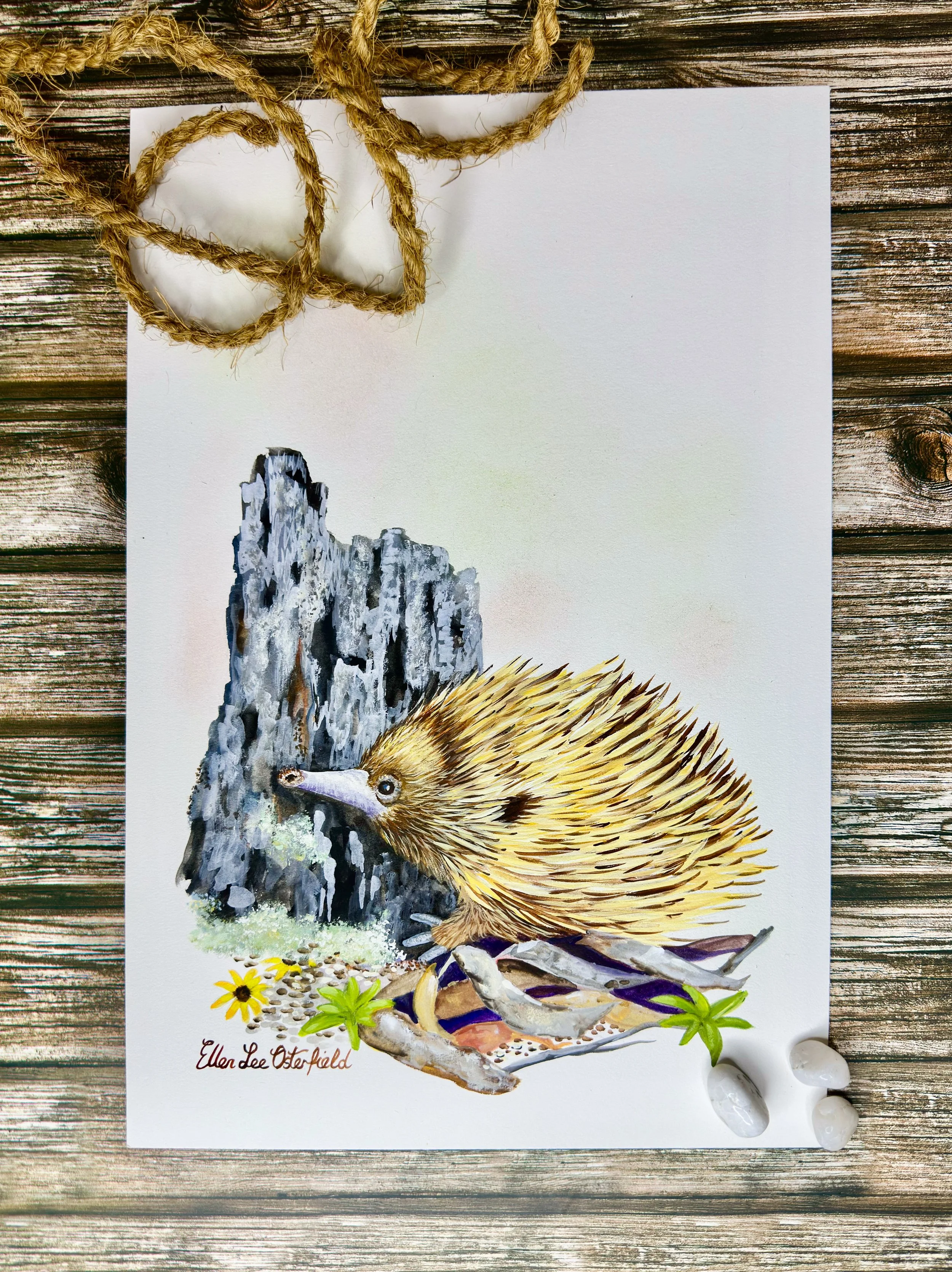 Ants for Lunch (1 of 1)