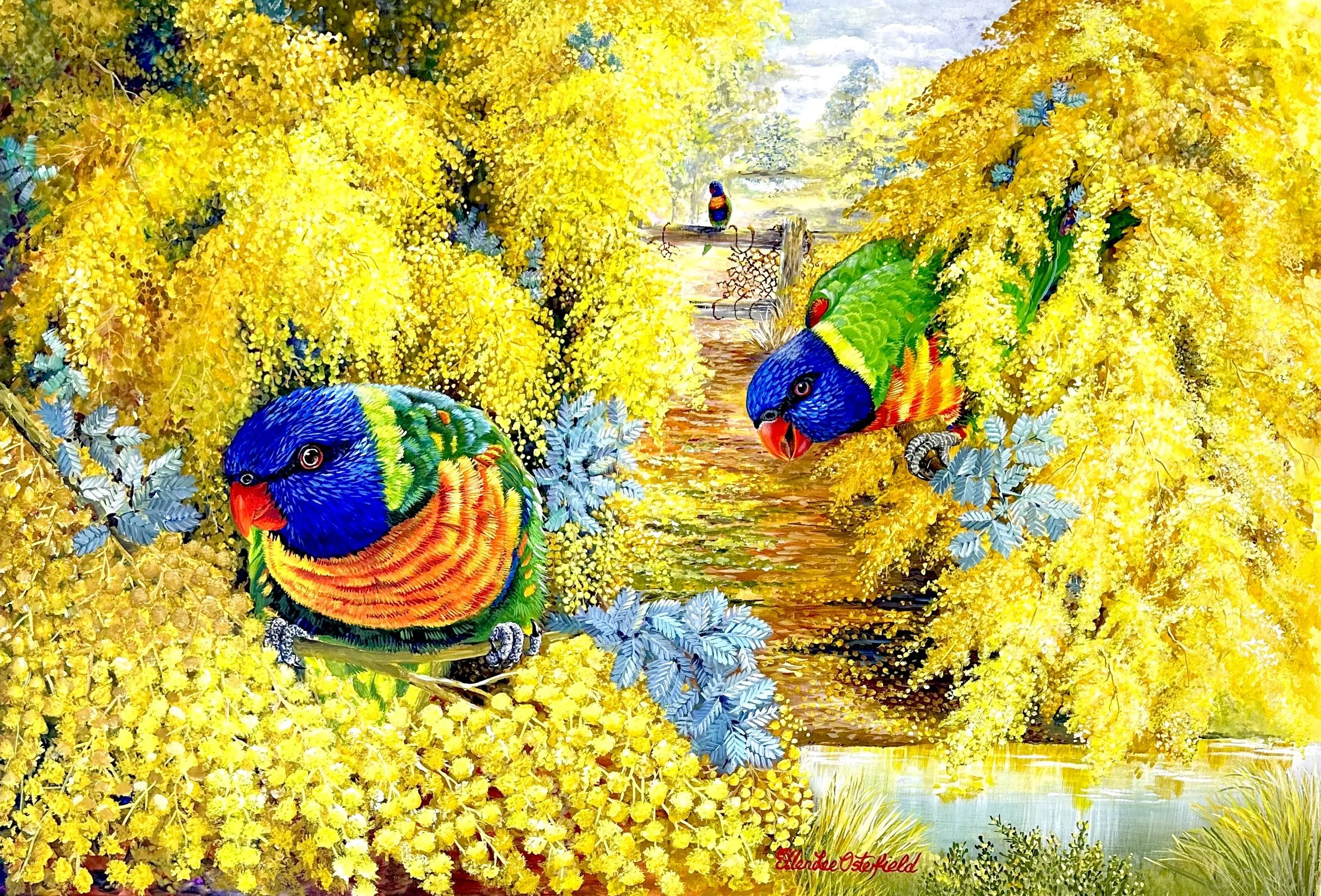 Cheeky Rainbow Lorikeets
