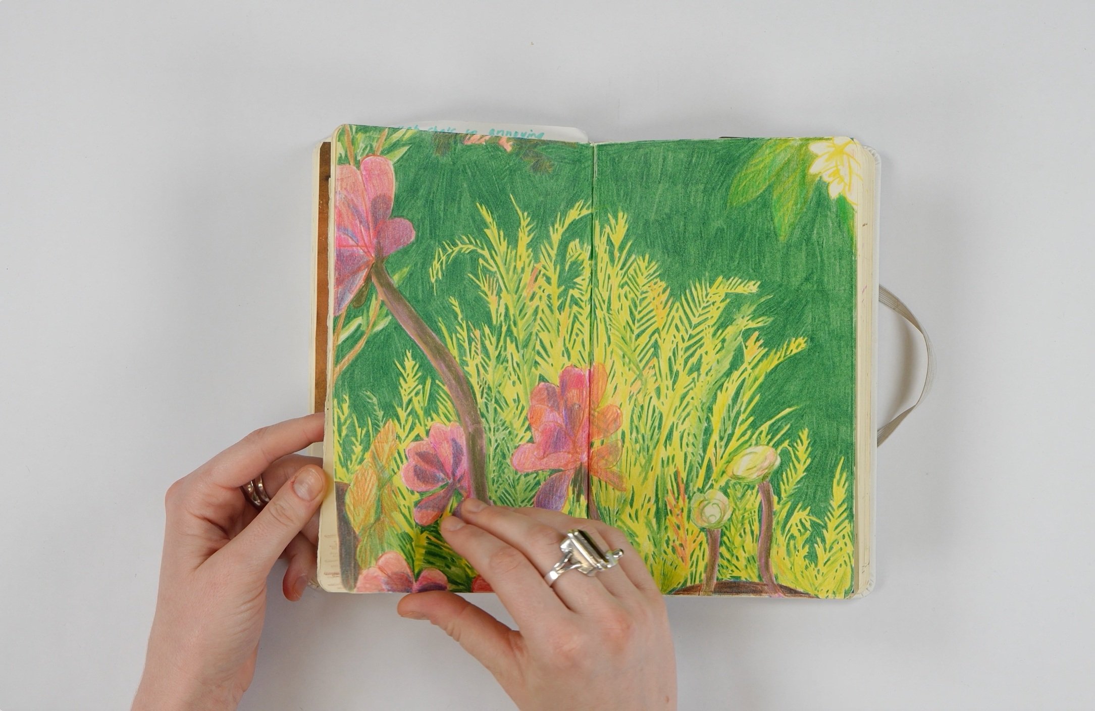 Australia Sketchbooks