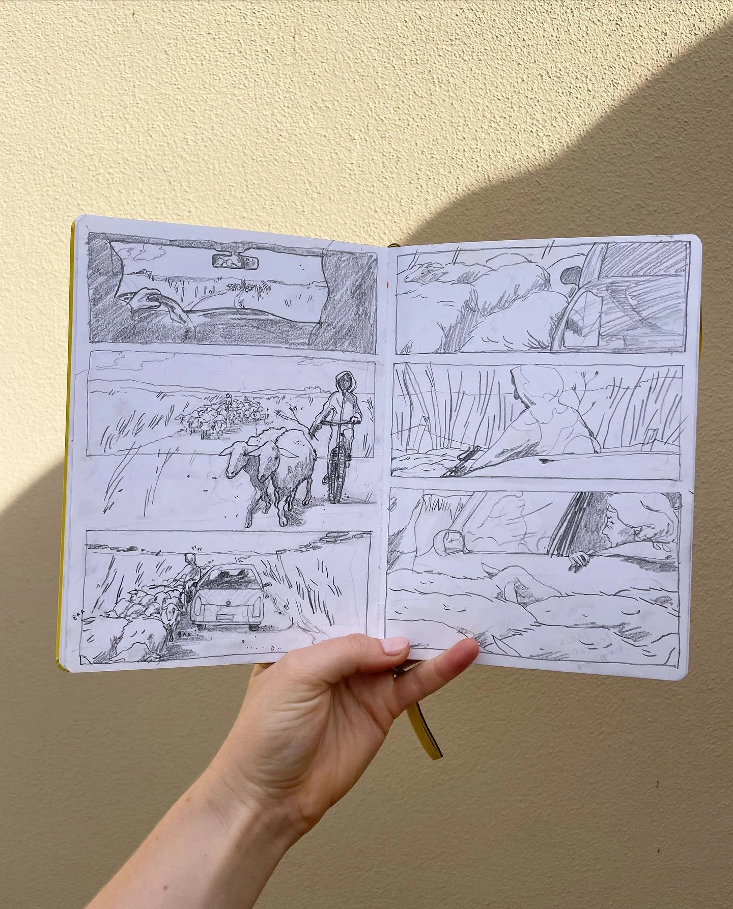 Passing sheep in Sardinia 🌾🐐