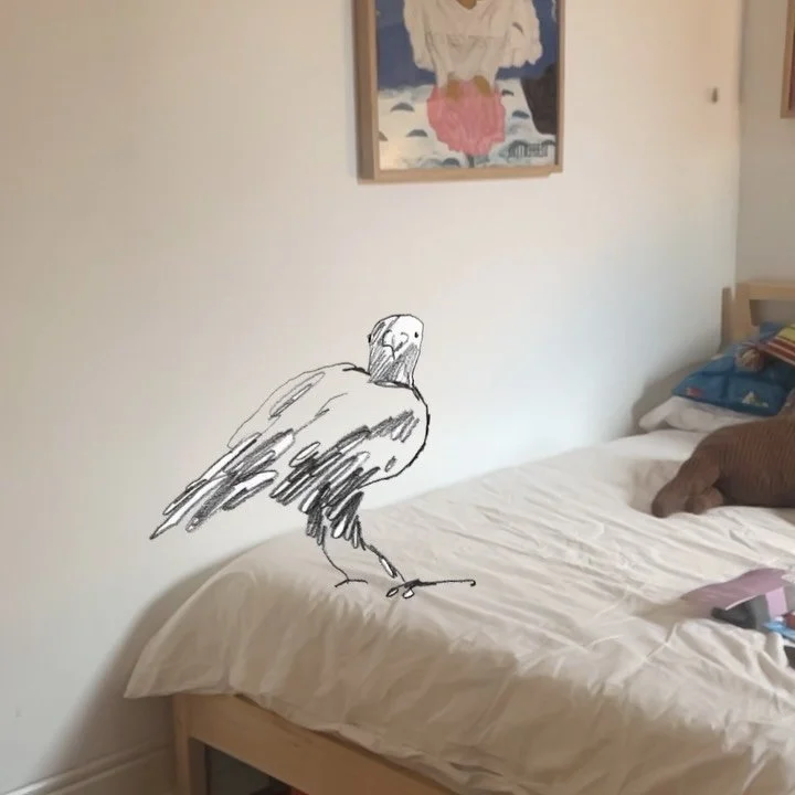 I&rsquo;ve been here a year!? Here&rsquo;s some stuff I did recently 🪲