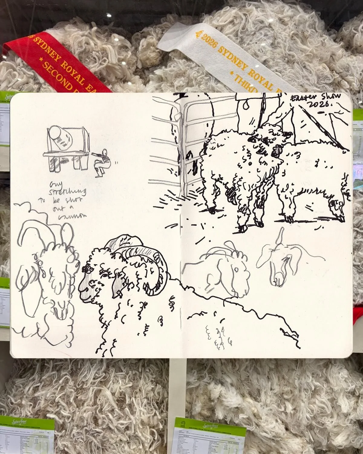 Drawing farm guys at the Easter Show 🐖 🐄 🐎