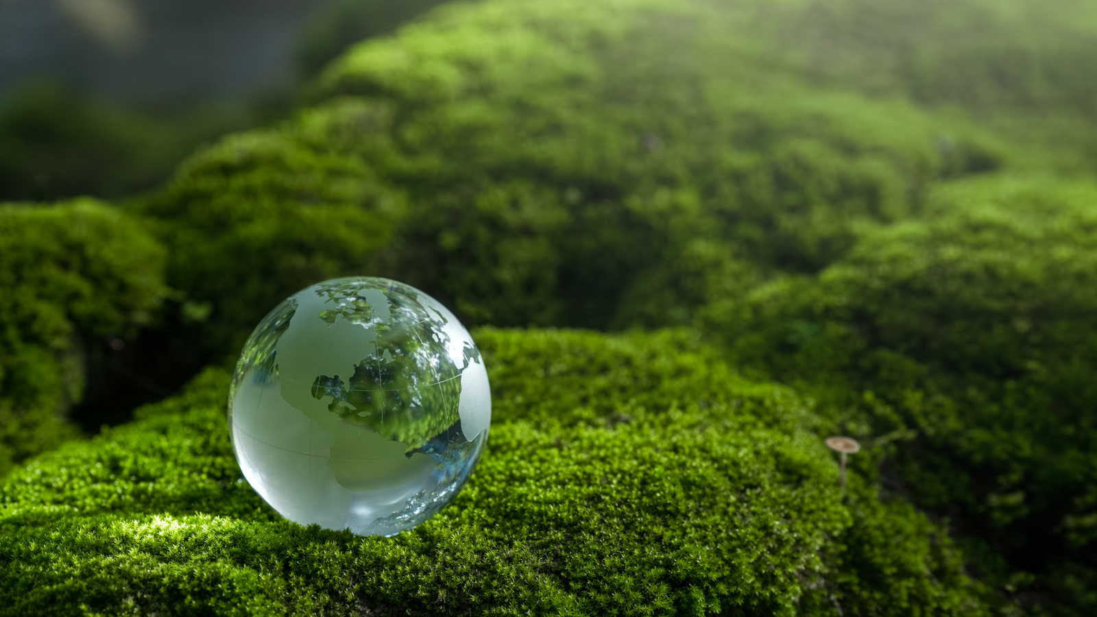 Going green: Recovery through the lens of an asset manager