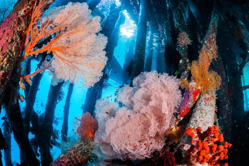 Catherine Holmes-17.jpg