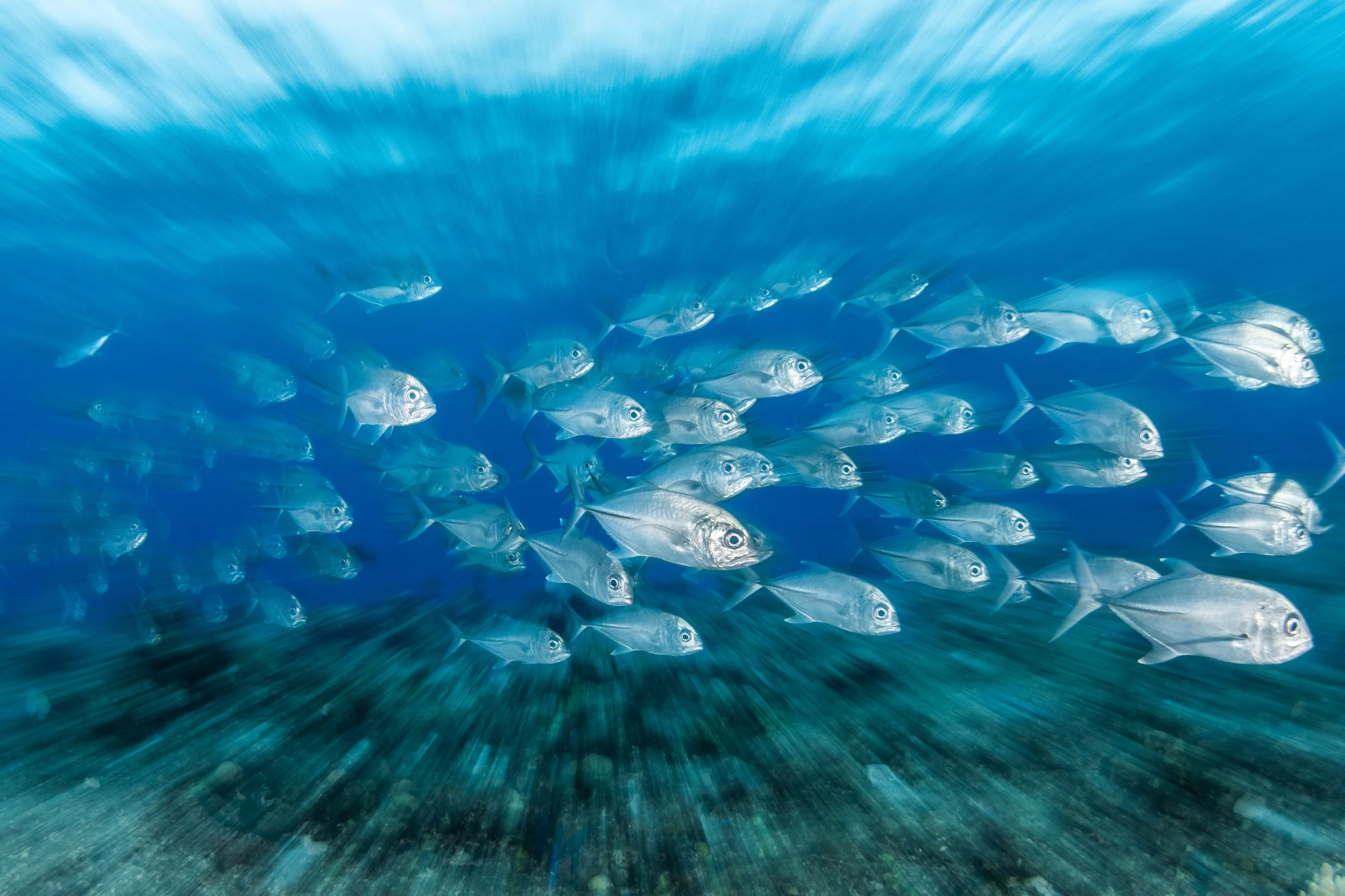 Catherine Holmes-30.jpg