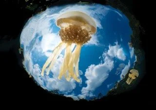 Raja Ampat Wide angle-8 Small.jpeg