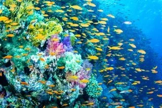 wide angle red sea-11 Small.jpeg