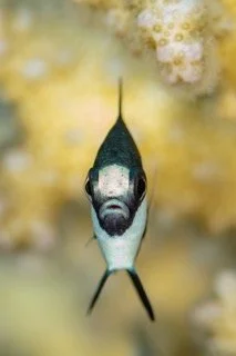 red sea-17 Small.jpeg