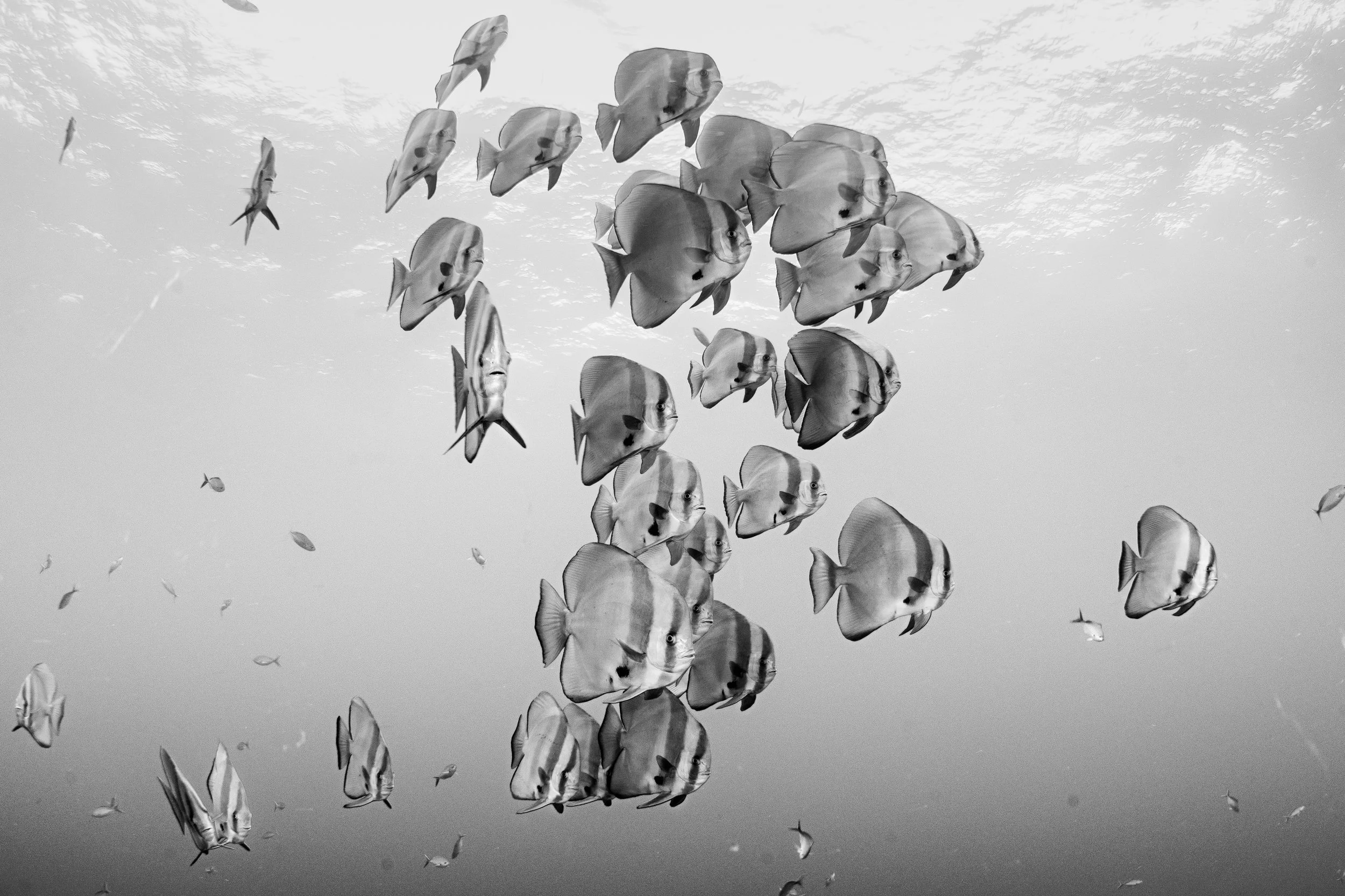 Catherine Holmes-32.jpg