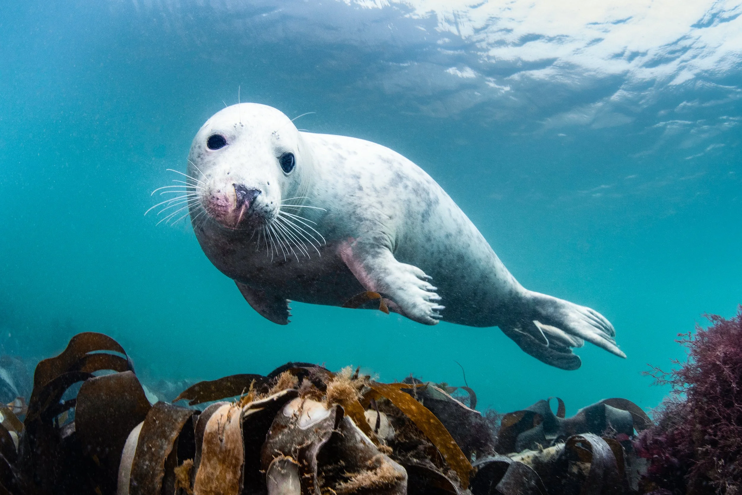 Catherine Holmes-12.jpg