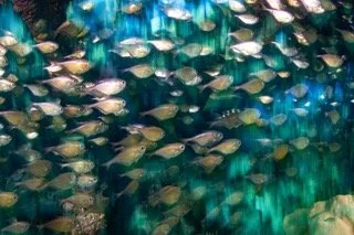 red sea-7 Small.jpeg