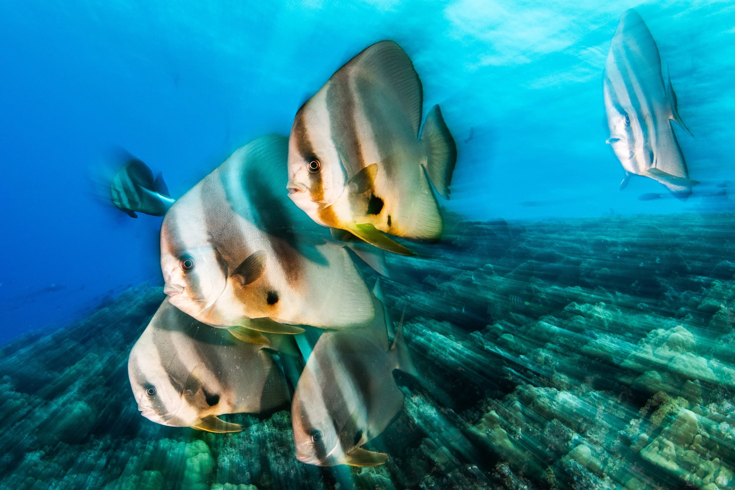 Catherine Holmes-31.jpg