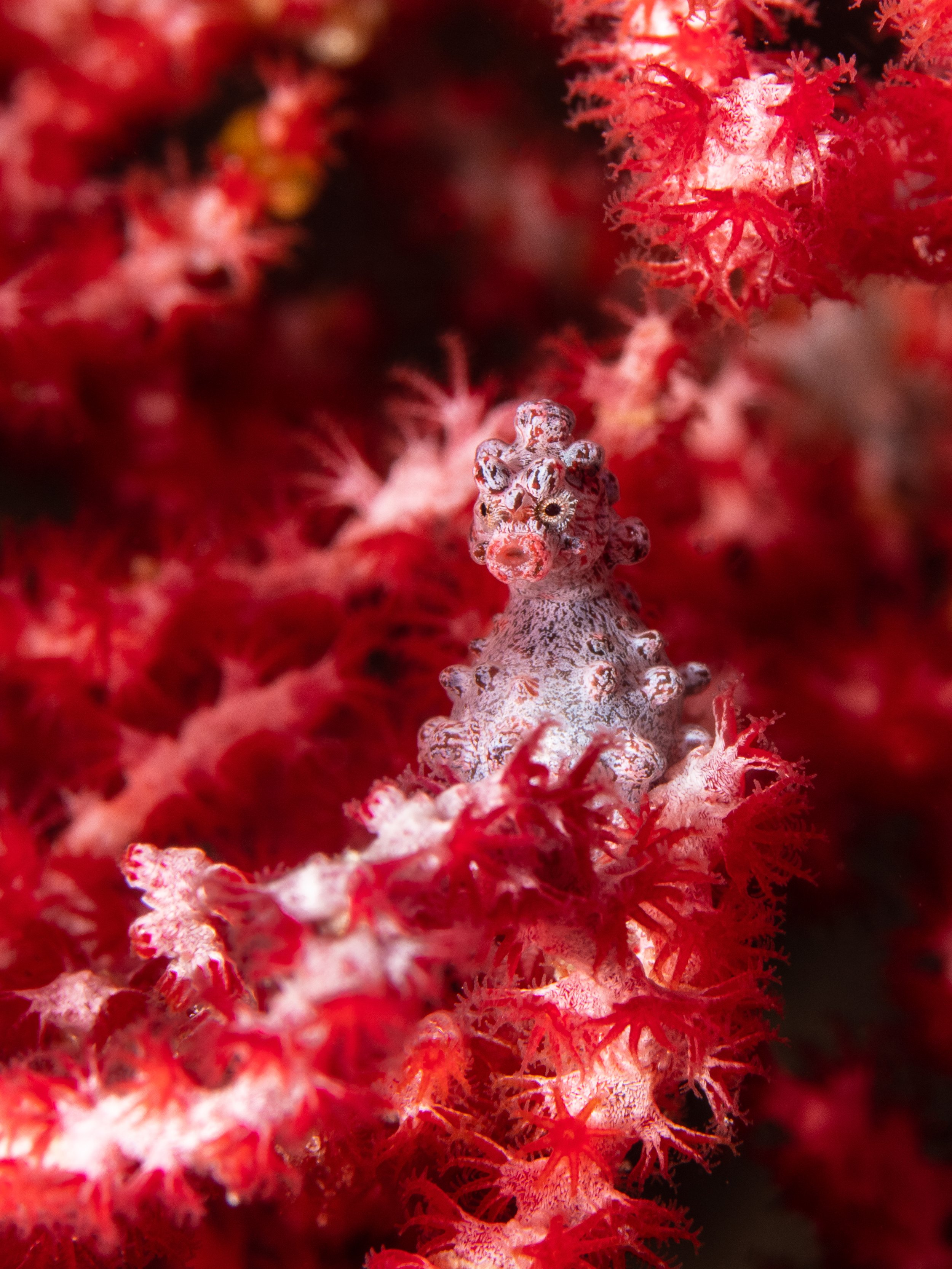 Catherine Holmes-6.jpg