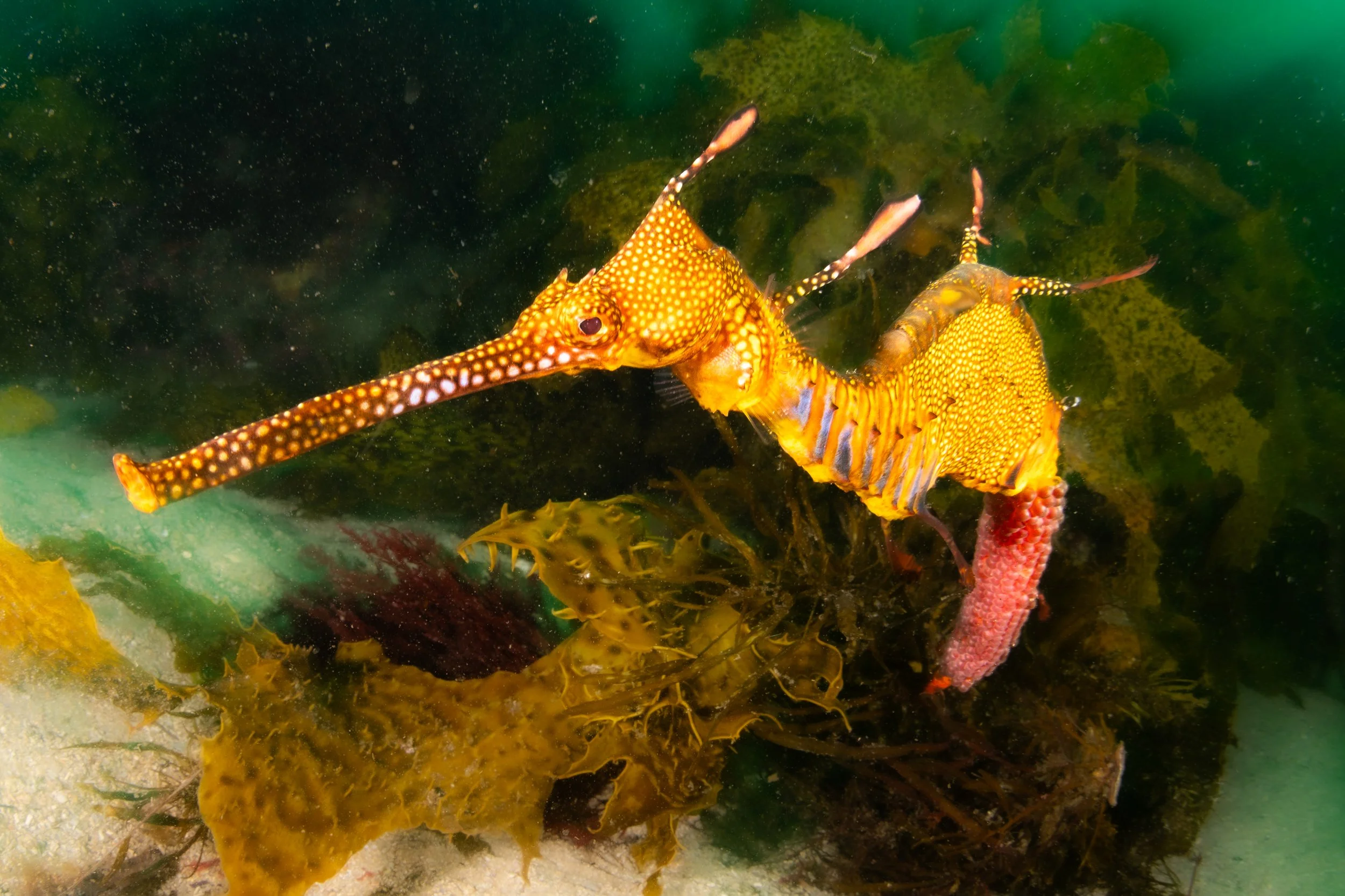 Catherine Holmes-40.jpg