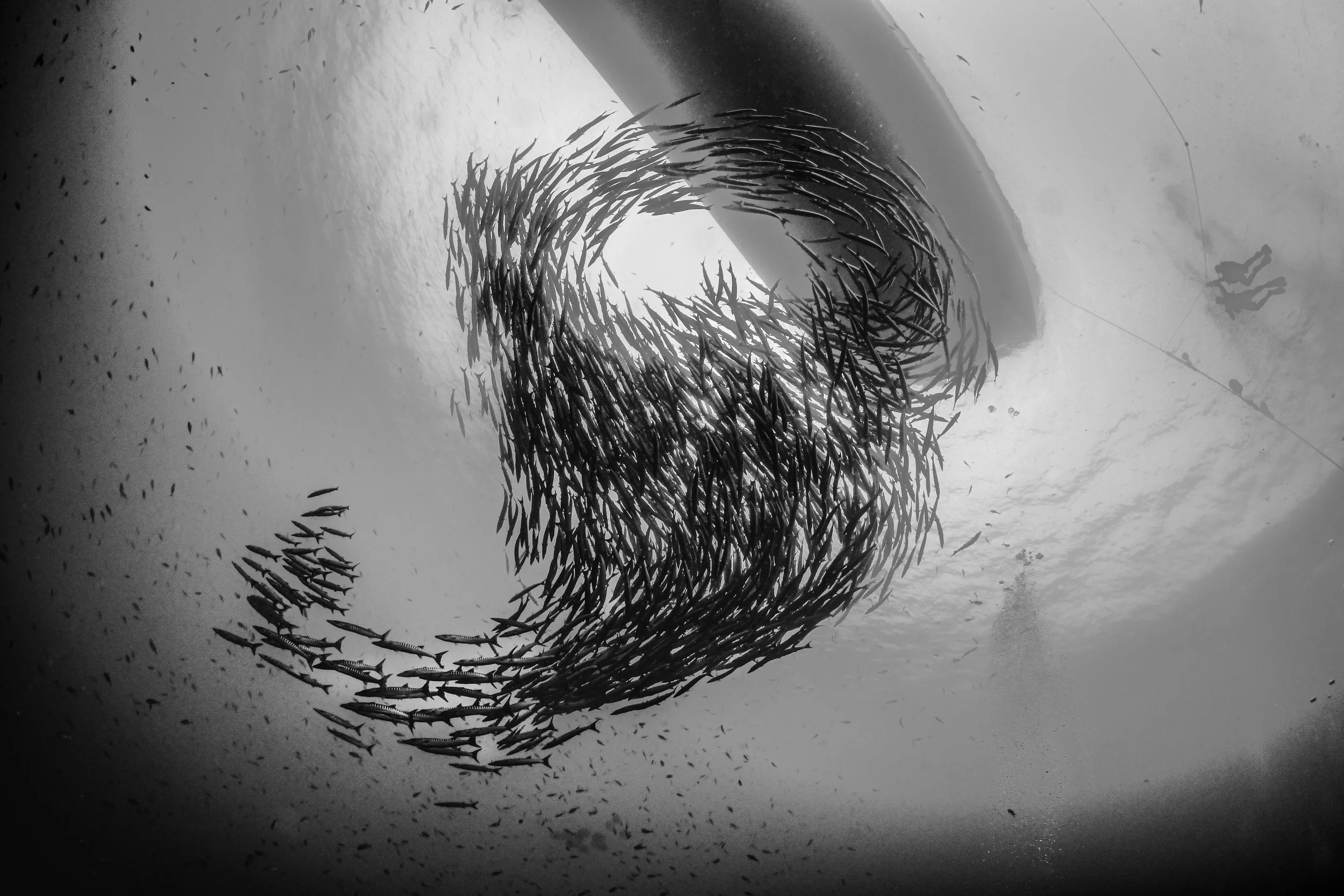 Catherine Holmes-23.jpg