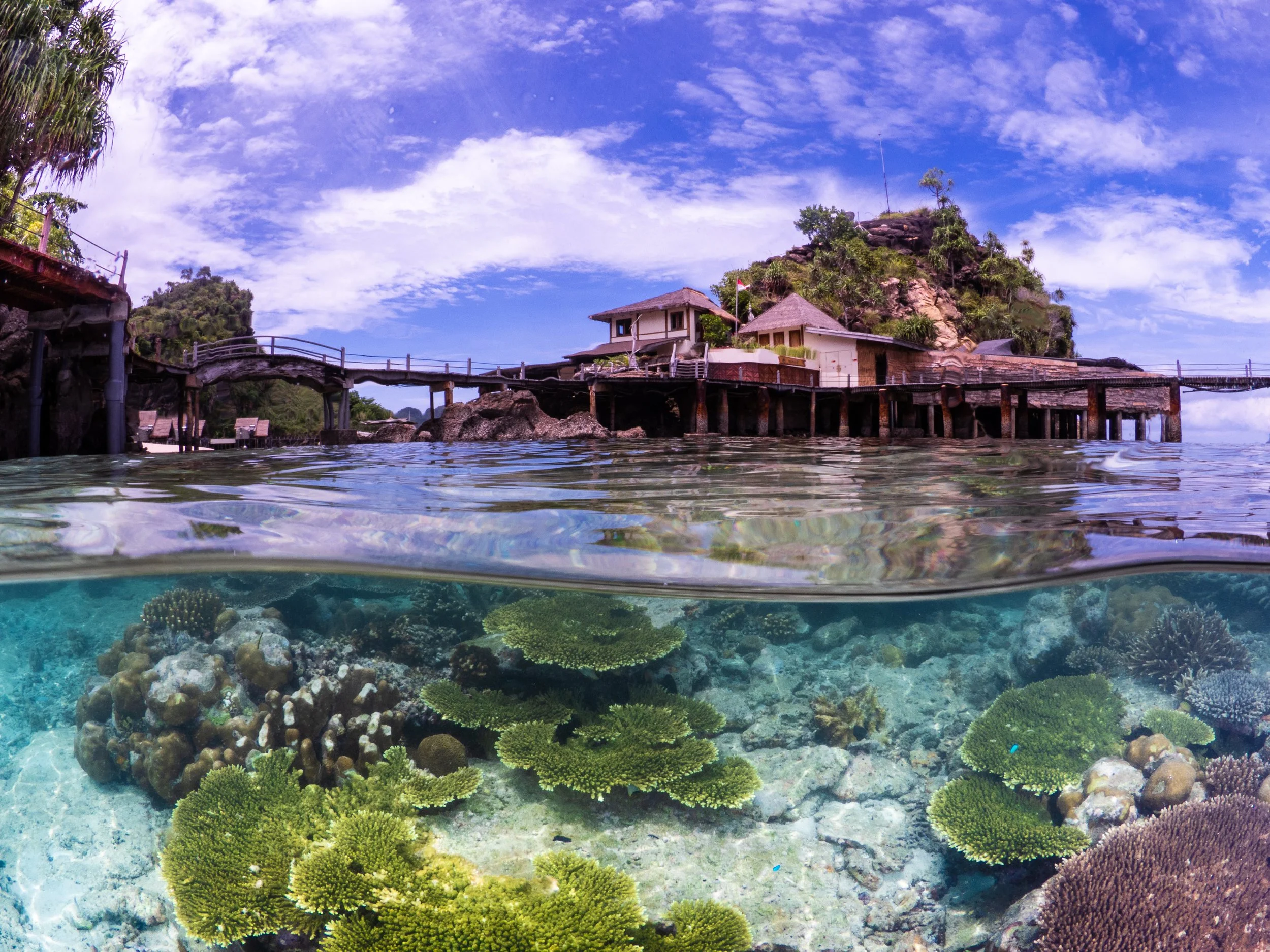 Catherine Holmes-14.jpg