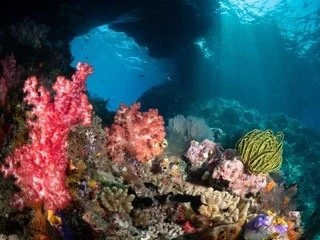 Raja Ampat Wide angle-5 Small.jpeg