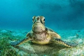 Raja Ampat Wide angle-23 Small.jpeg