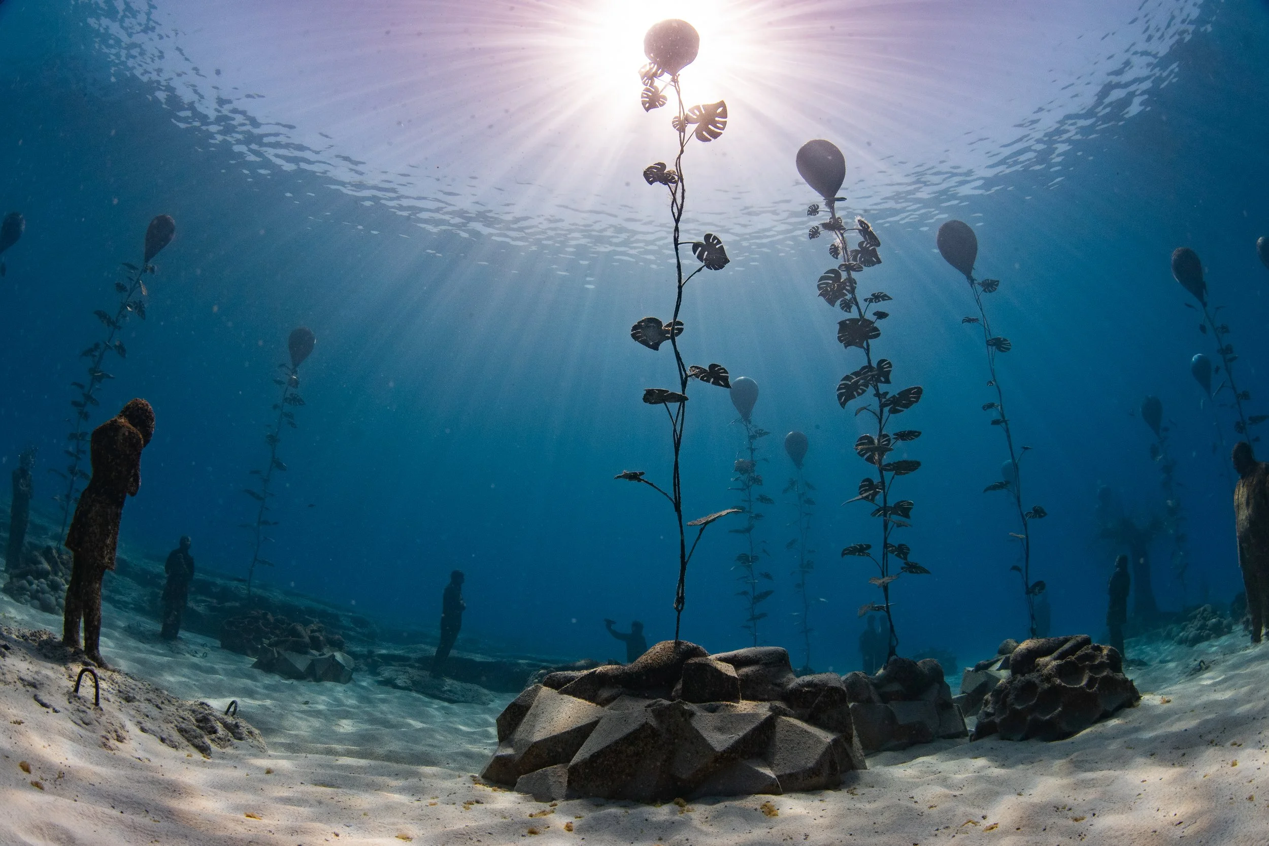 Catherine Holmes-22.jpg