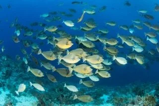 wide angle red sea-5 Small.jpeg