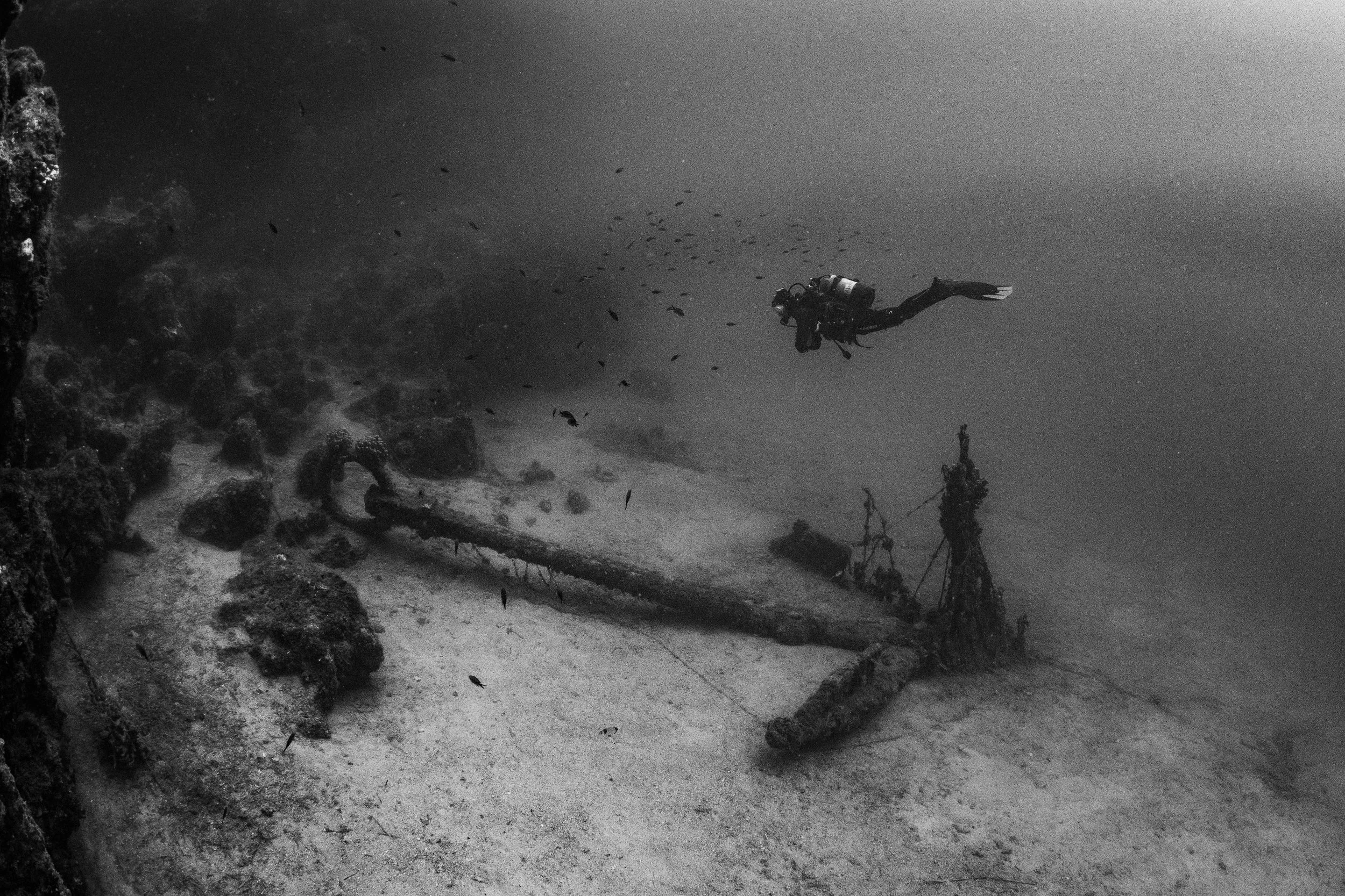 Catherine Holmes-27.jpg