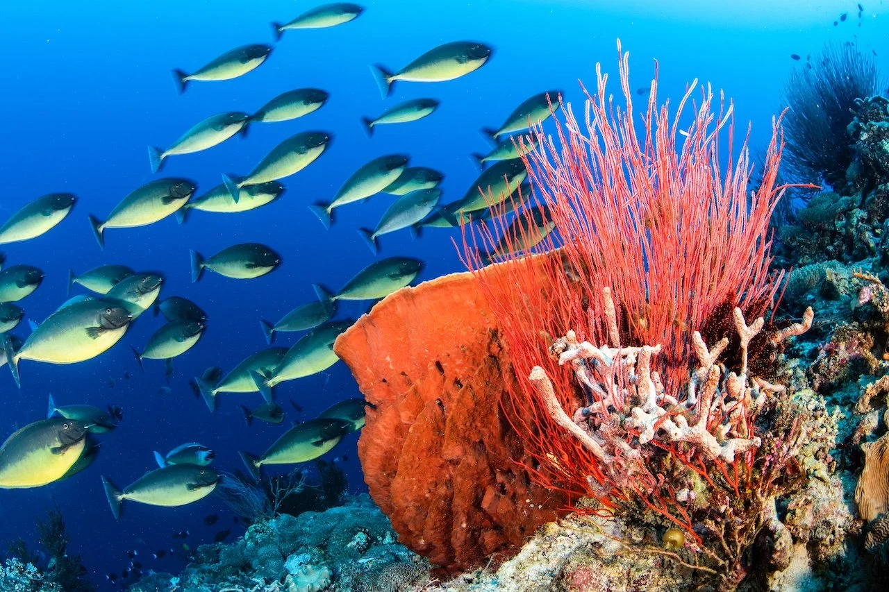 Catherine Holmes-29.jpg