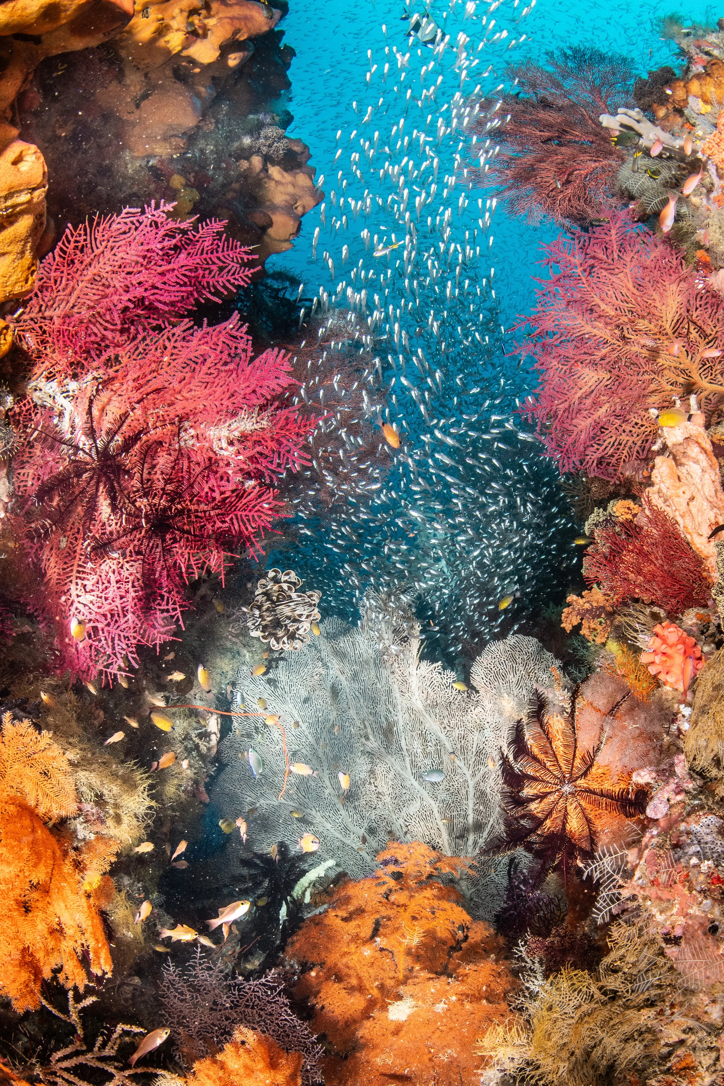 Catherine Holmes-46.jpg