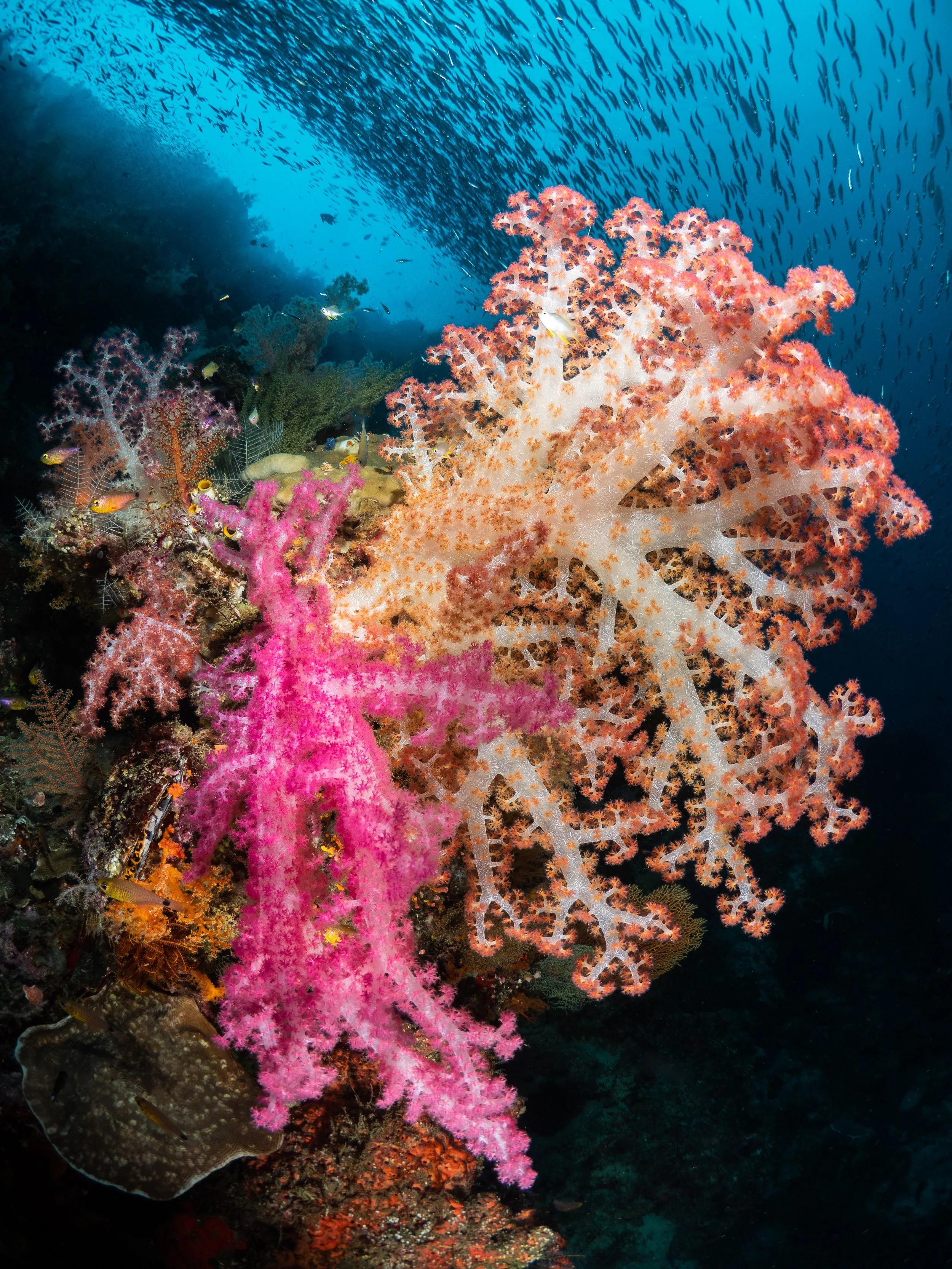 Catherine Holmes-7.jpg