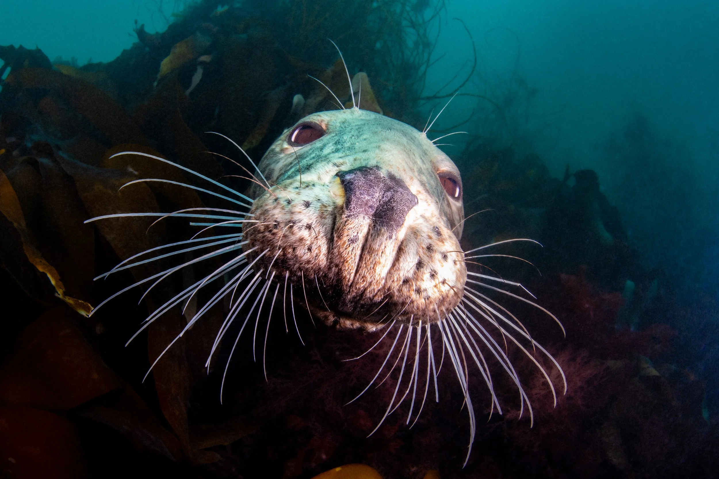 Catherine Holmes-9.jpg