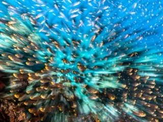 wide angle red sea-13 Small.jpeg