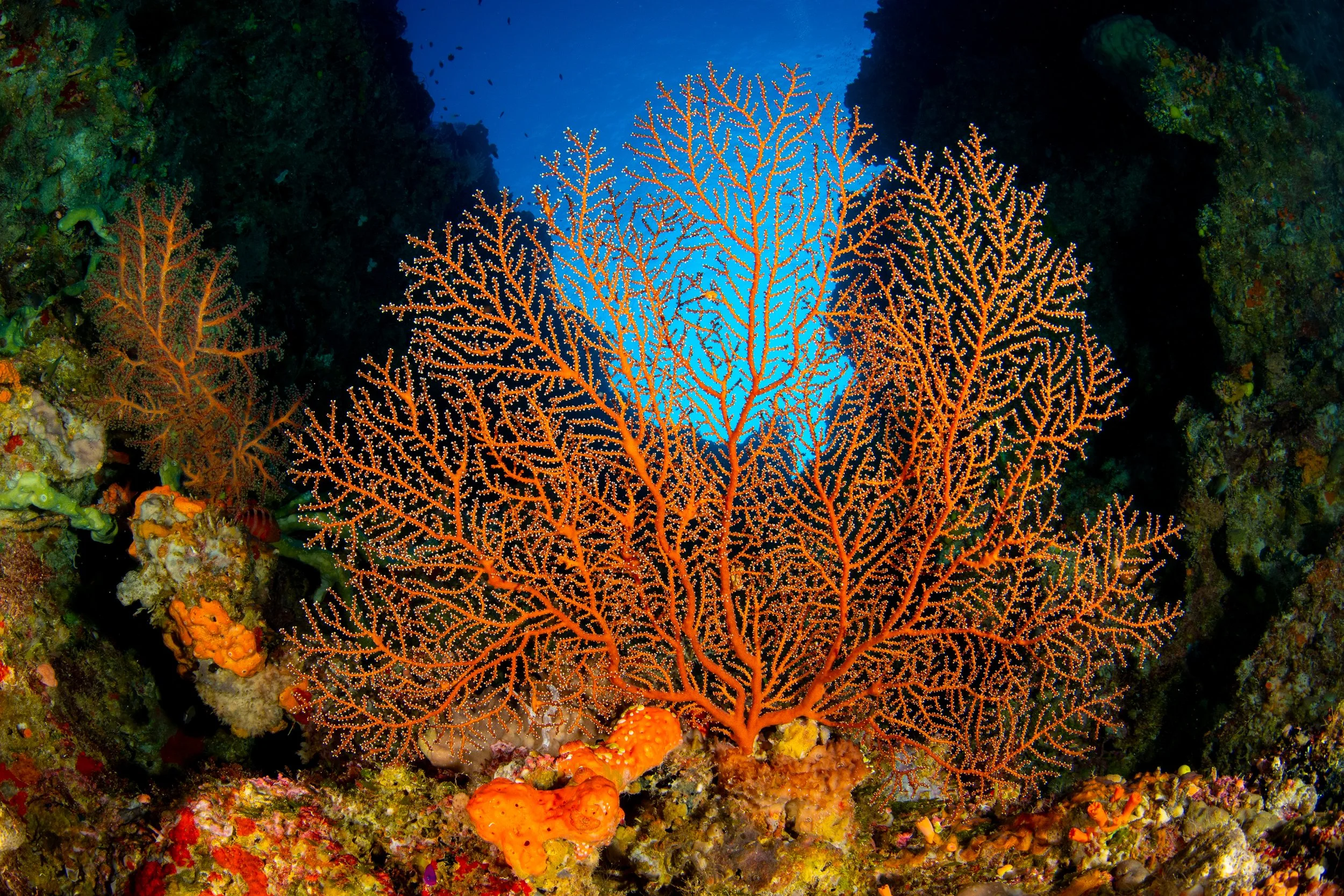 Catherine Holmes-33.jpg