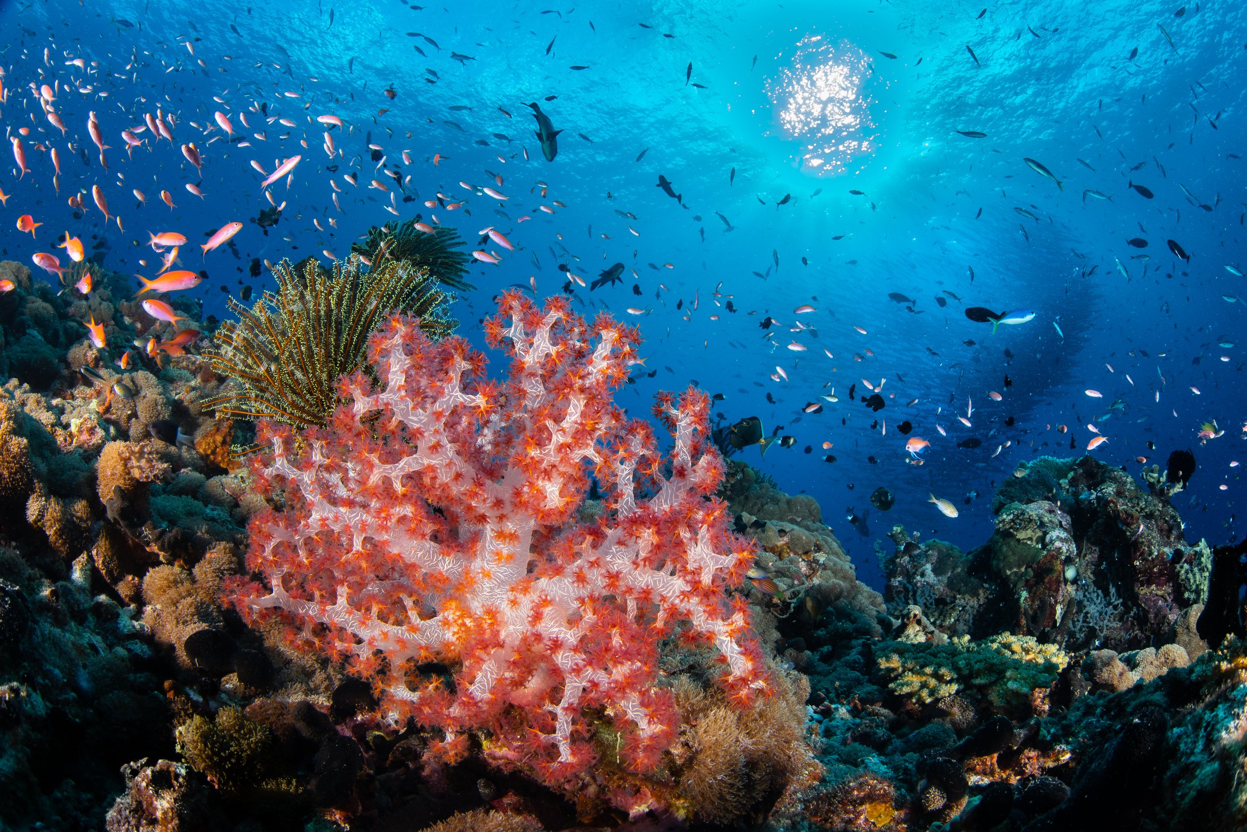 Catherine Holmes-36.jpg