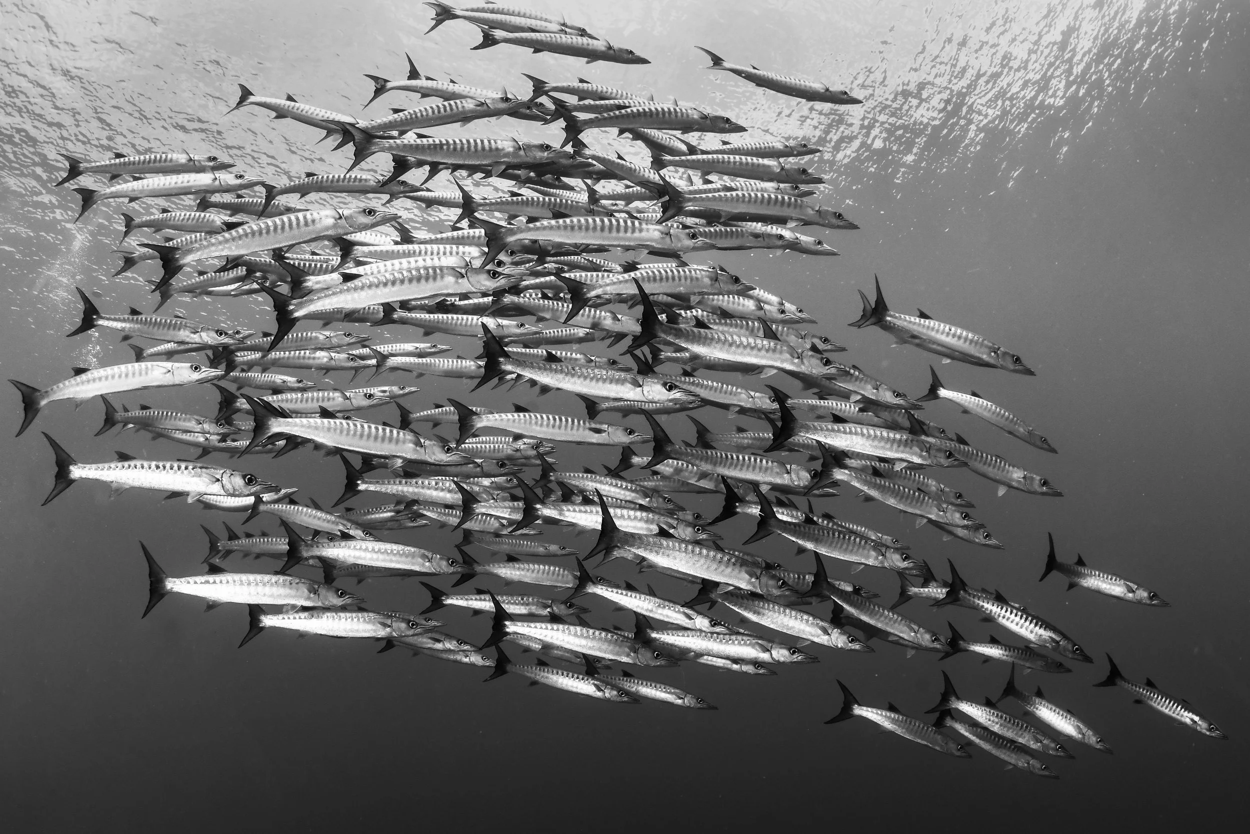 Catherine Holmes-25.jpg