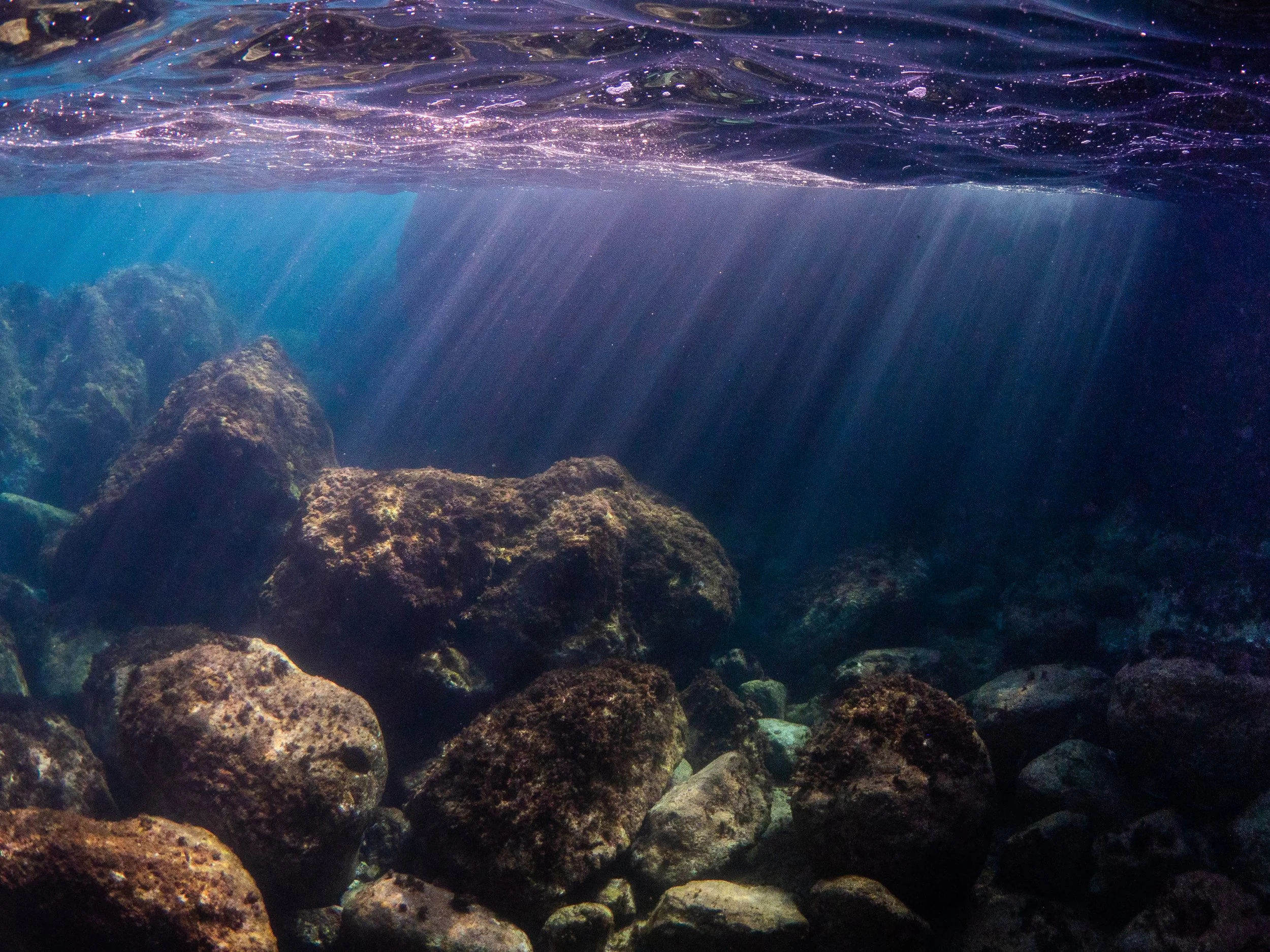 Catherine Holmes-5.jpg