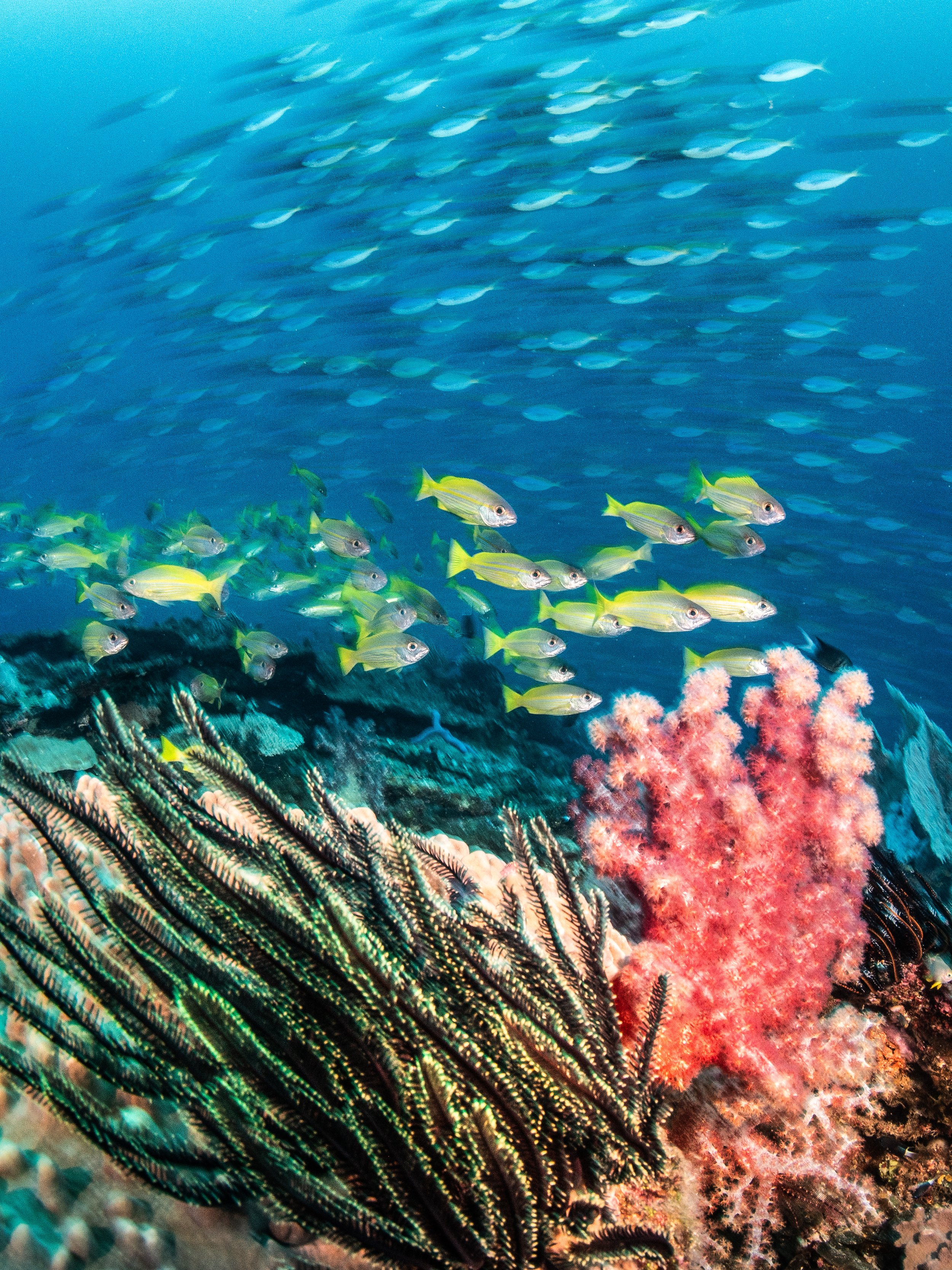 Catherine Holmes-44.jpg