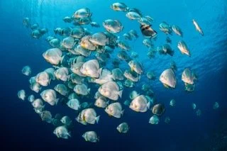 red sea-2 Small.jpeg