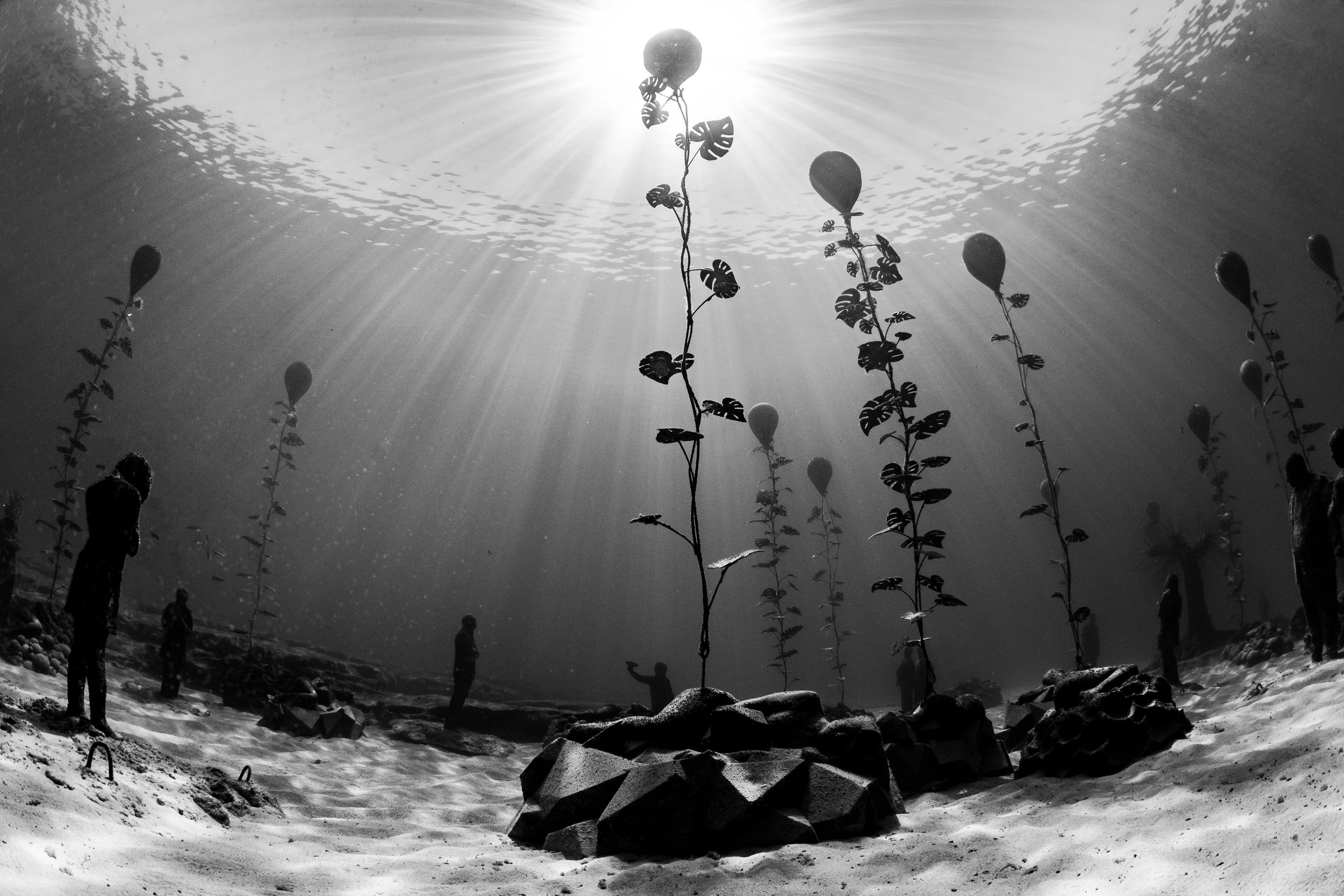 Catherine Holmes-21.jpg