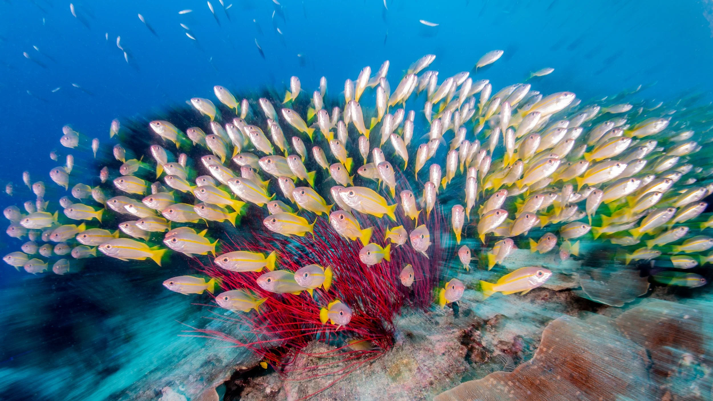 Catherine Holmes-16.jpg