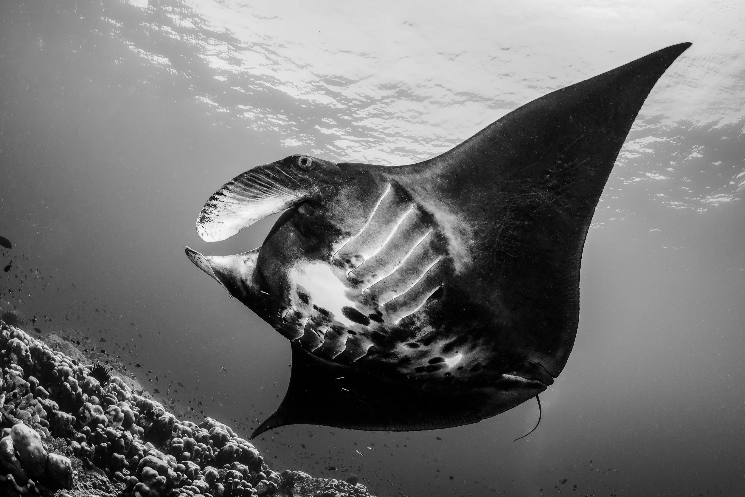 Catherine Holmes-21.jpg