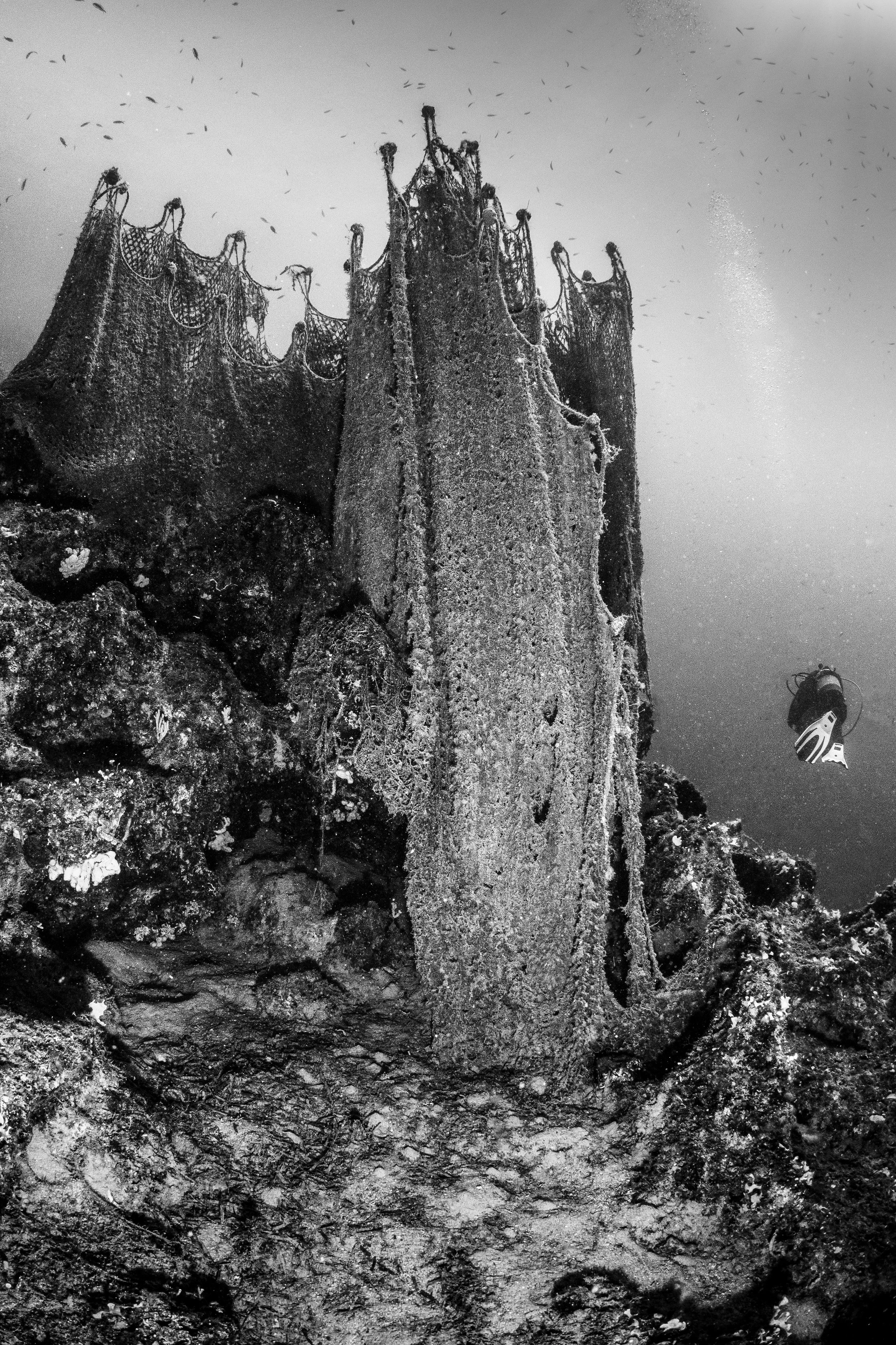 Catherine Holmes-6.jpg