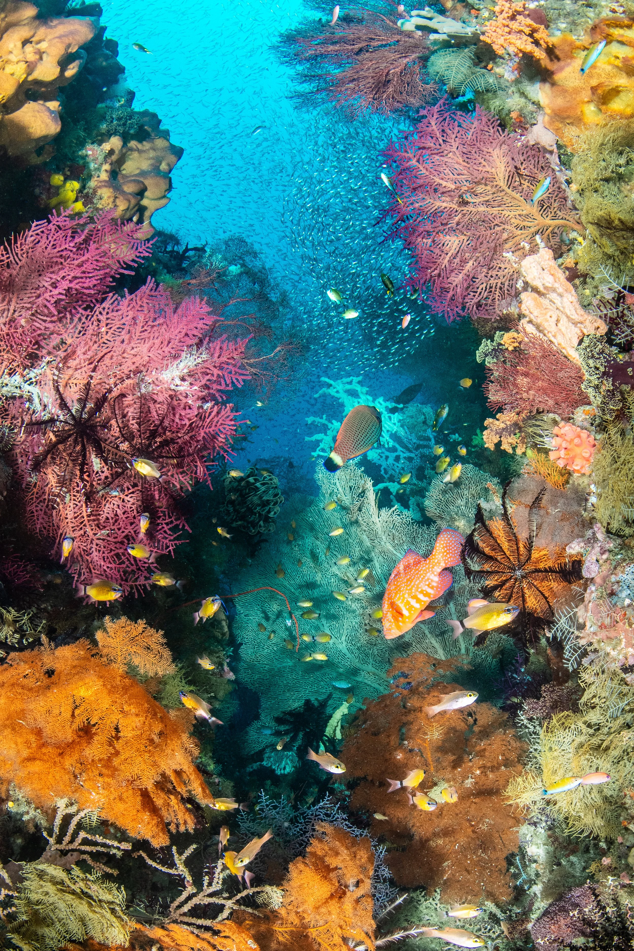 Catherine Holmes-45.jpg