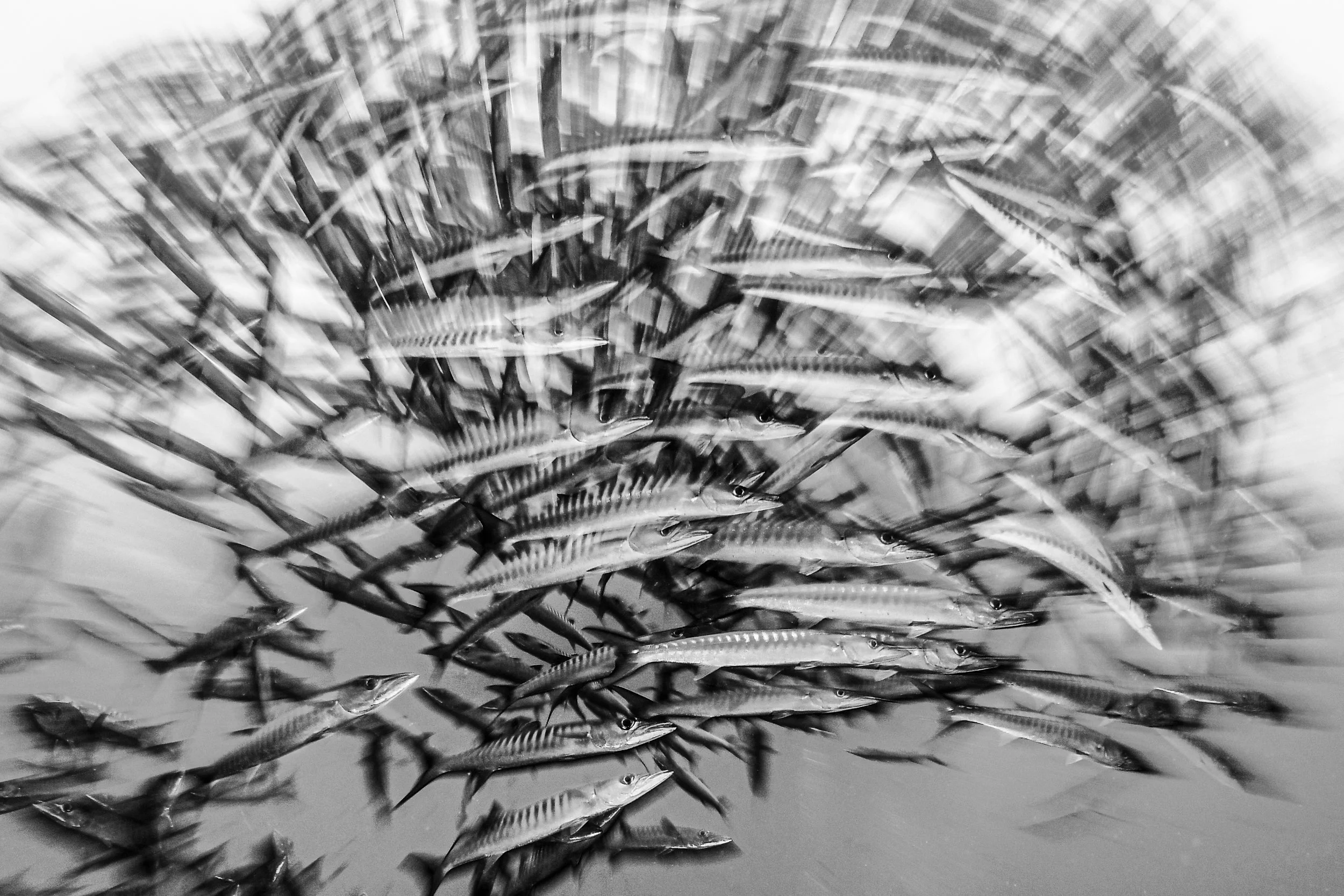 Catherine Holmes-24.jpg