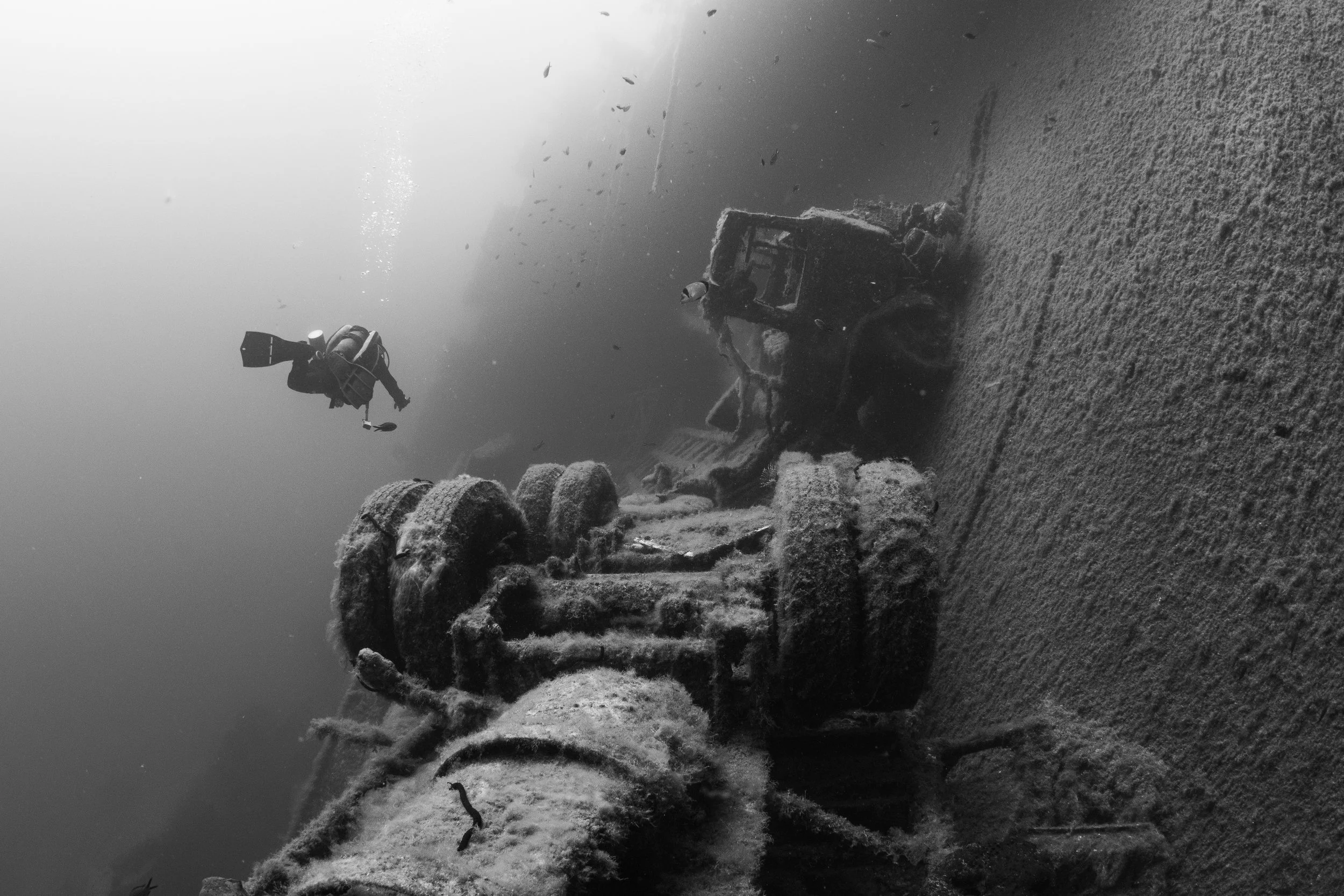 Catherine Holmes-15.jpg