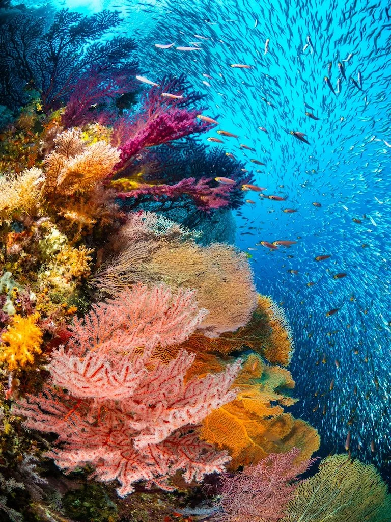 Catherine Holmes-11.jpg